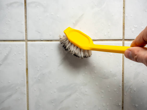 Best Water Damage Restoration  in South Charleston, WV