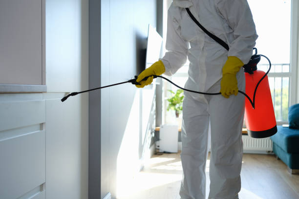 Best Mold Remediation  in South Charleston, WV