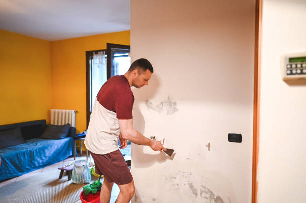 Mold Removal and Inspection in South Charleston, WV